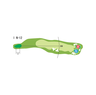 Hole 12 コースマップ